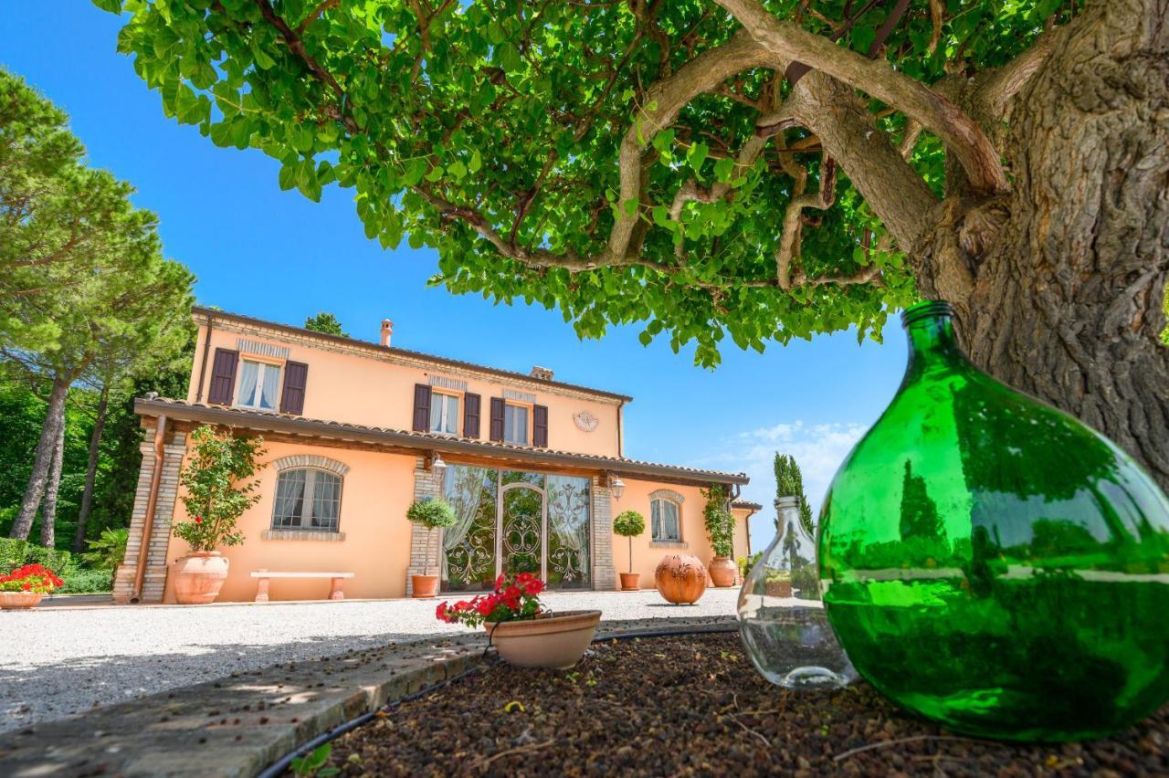 포지오베르니 Il Poggianino B&B 외부 사진